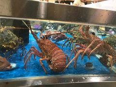 -盒马鲜生(莱蒙都会店)