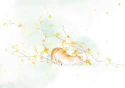 -Oasis Beauty水磨坊科技美肤中心