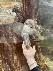 -Zoolung Zoolung动物主题公园(海信广场店)