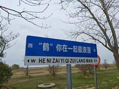 -盐城丹顶鹤湿地生态旅游区