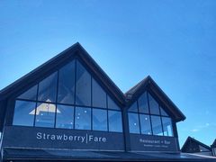 -Strawberry Fare