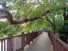 -伦教678文化街