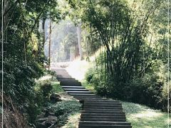 -火炉山森林公园