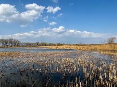 -野鸭湖国家湿地公园