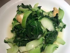 -東大方(安吉灵芝店)