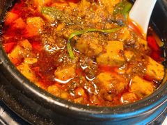-陈麻婆豆腐总店