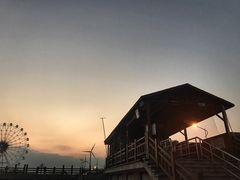 -碧海金沙