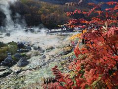 -长白山万达国际度假区
