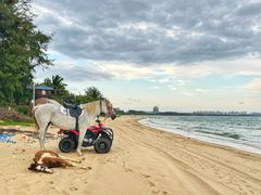 -三亚海棠湾万丽度假酒店