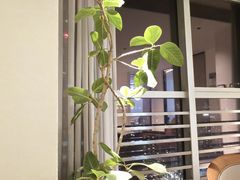 -争渡心理咨询全国连锁(福田店)