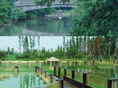 -西溪国家湿地公园