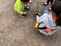 -无锡动物园·太湖欢乐园