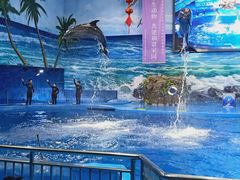 -多彩贵州城极地海洋世界