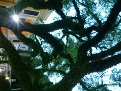 android_upload_pic-ALBERGUE 1601 婆仔屋葡国餐厅