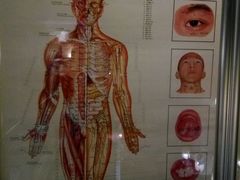 -洪盛堂(净居寺南街店)