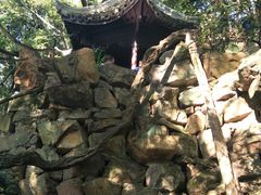 -绮园景区