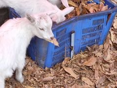 -杭州师范大学(下沙校区)