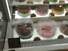 -哈根达斯(石家庄北国店)