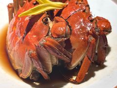 -寻宝记绍兴菜(状元店)