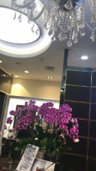 -八佰伴8008星级形象店