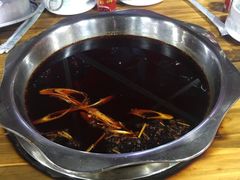 -金鼎雪山牦牛杂火锅(理县总店)