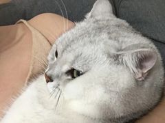 -荔康动物医院(康王北路店)