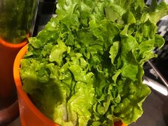 包肉生菜-双门洞·珍珠家韩式烤肉(永丰社区八区店)