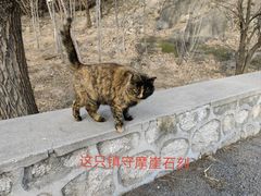 -北京凤凰岭