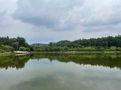 -南国桃园旅游度假区