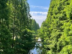 -黄海国家森林公园