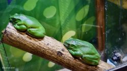 -酷嗒动物文化乐园(cutezoo西溪乐天城店)