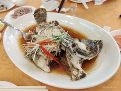 -聚龙酒家(富豪花园店)