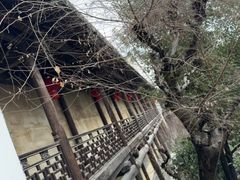-徽商大宅院