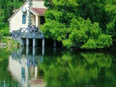 -上海共青森林公园