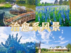 -北京国际鲜花港