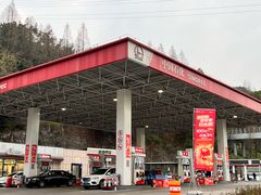 -中国石化龙禹石油加油站