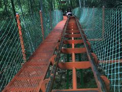 -藏龙百瀑风景区