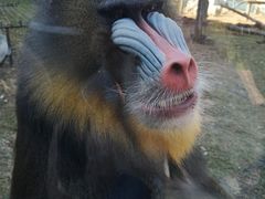 -济南野生动物世界
