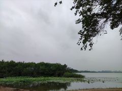 -丁香湖公园