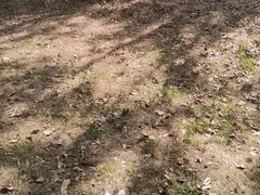 -爪吧宠物乐园 (温榆河示范区店)