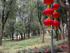 -东湖落雁景区