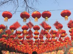 -八大处公园