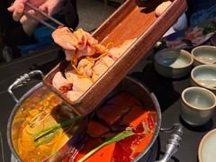 -季季山·云南野生菌火锅(上海首店)
