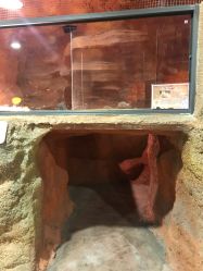 -酷嗒动物文化乐园(cutezoo西溪乐天城店)