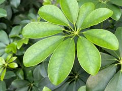 -佛山市图书馆(祖庙路分馆)