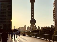 -Seesaw Coffee(上海国金中心店)