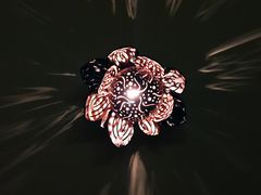 -莲泰式·中式·沐足·精油SPA采耳(天河店)