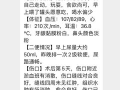 -泰洋动物医院·神经专科·磁共振·CT(天河公园总院)