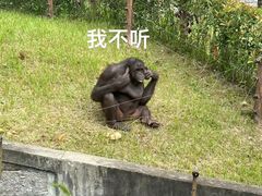 -上海野生动物园