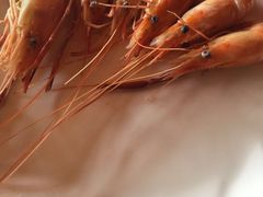 -开心农场温泉度假村